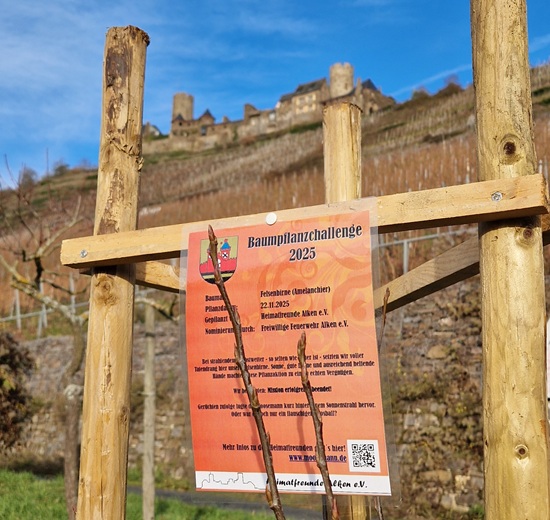 2025-11-22 Schild550x520.jpg 2025-11-22 Schild550x520.jpg